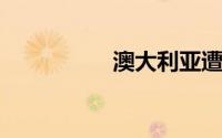 澳大利亚遭遇严重鼠患