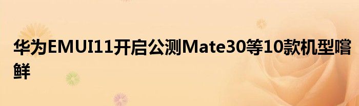 华为EMUI11开启公测Mate30等10款机型嚐鲜