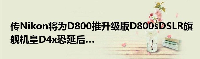 传Nikon将为D800推升级版D800sDSLR旗舰机皇D4x恐延后…