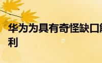 华为为具有奇怪缺口解决方案的手机申请了专利