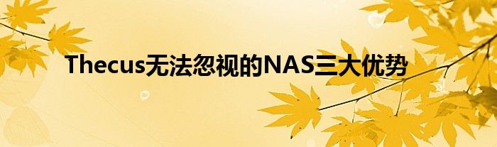 Thecus无法忽视的NAS三大优势