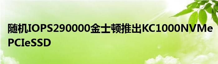 随机IOPS290000金士顿推出KC1000NVMePCIeSSD