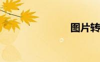 图片转成表格