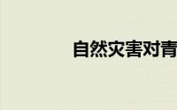 自然灾害对青年的心理影响