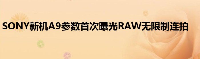 SONY新机A9参数首次曝光RAW无限制连拍