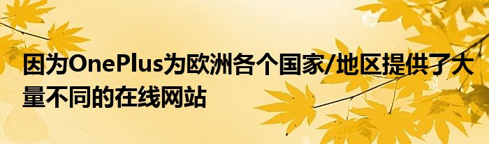 因为OnePlus为欧洲各个国家/地区提供了大量不同的在线网站