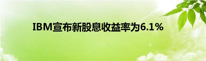 IBM宣布新股息收益率为6.1%