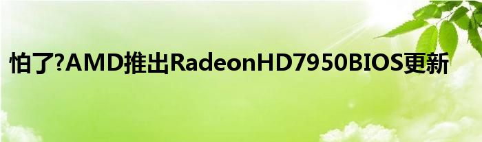 怕了?AMD推出RadeonHD7950BIOS更新