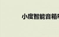 小度智能音箱Pro可以关机吗