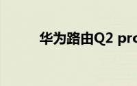 华为路由Q2 pro网口不够怎么办