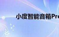 小度智能音箱Pro能不能连续对话