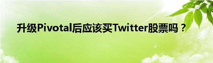升级Pivotal后应该买Twitter股票吗？