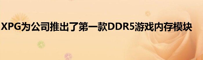 XPG为公司推出了第一款DDR5游戏内存模块