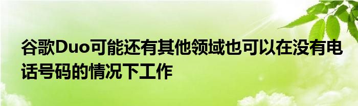 谷歌Duo可能还有其他领域也可以在没有电话号码的情况下工作