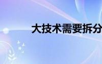 大技术需要拆分吗？立法者权衡