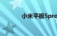 小米平板5pro5g能打电话吗