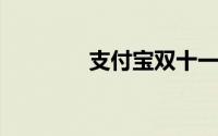 支付宝双十一活动的时间是