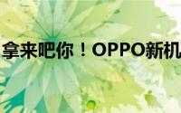 拿来吧你！OPPO新机拿到一加上亿定制镜头