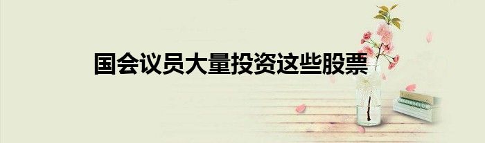 国会议员大量投资这些股票