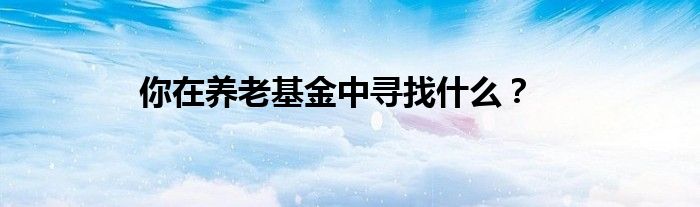 你在养老基金中寻找什么？