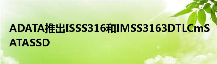 ADATA推出ISSS316和IMSS3163DTLCmSATASSD