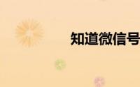 知道微信号怎么加好友