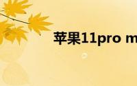 苹果11pro max截屏怎么截