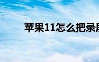 苹果11怎么把录屏添加到控制面板