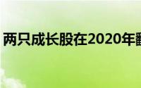 两只成长股在2020年翻了三倍 仍然值得买入