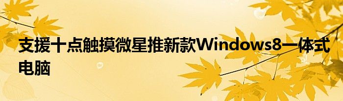 支援十点触摸微星推新款Windows8一体式电脑
