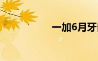 一加6月牙白开箱评测