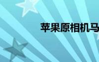 苹果原相机马赛克在哪里调
