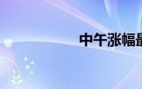 中午涨幅最大的股票