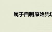 属于自制原始凭证的下列各项中,()
