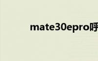 mate30epro呼叫等待怎么设置