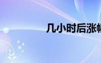 几小时后涨幅最大的股票