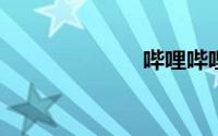 哔哩哔哩网注册