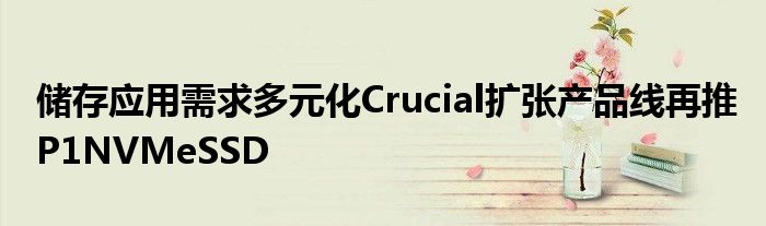 储存应用需求多元化Crucial扩张产品线再推P1NVMeSSD
