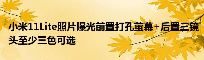 小米11Lite照片曝光前置打孔萤幕+后置三镜头至少三色可选