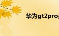 华为gt2pro是鸿蒙系统吗