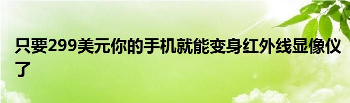 只要299美元你的手机就能变身红外线显像仪了
