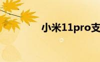 小米11pro支持无线充电吗