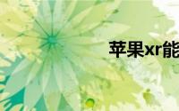 苹果xr能插几张卡