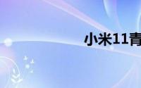小米11青春版厚度
