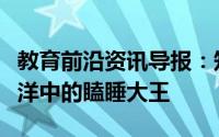 教育前沿资讯导报：知识问答：哪种动物是海洋中的瞌睡大王