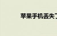 苹果手机丢失了怎么定位找回
