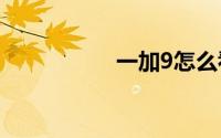一加9怎么看运行内存