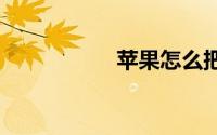 苹果怎么把5g改成4g