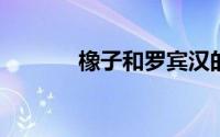 橡子和罗宾汉的热门投资平台