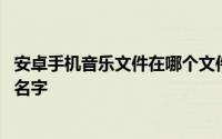安卓手机音乐文件在哪个文件夹 安卓系统音乐文件夹叫什么名字